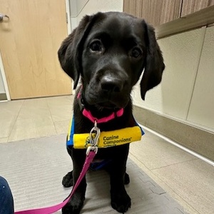 Team Page: Missy's Miracle Makers